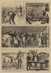 Notes at the Derby and Oaks